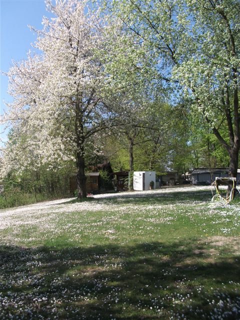 Früing im Freyzeit-Park